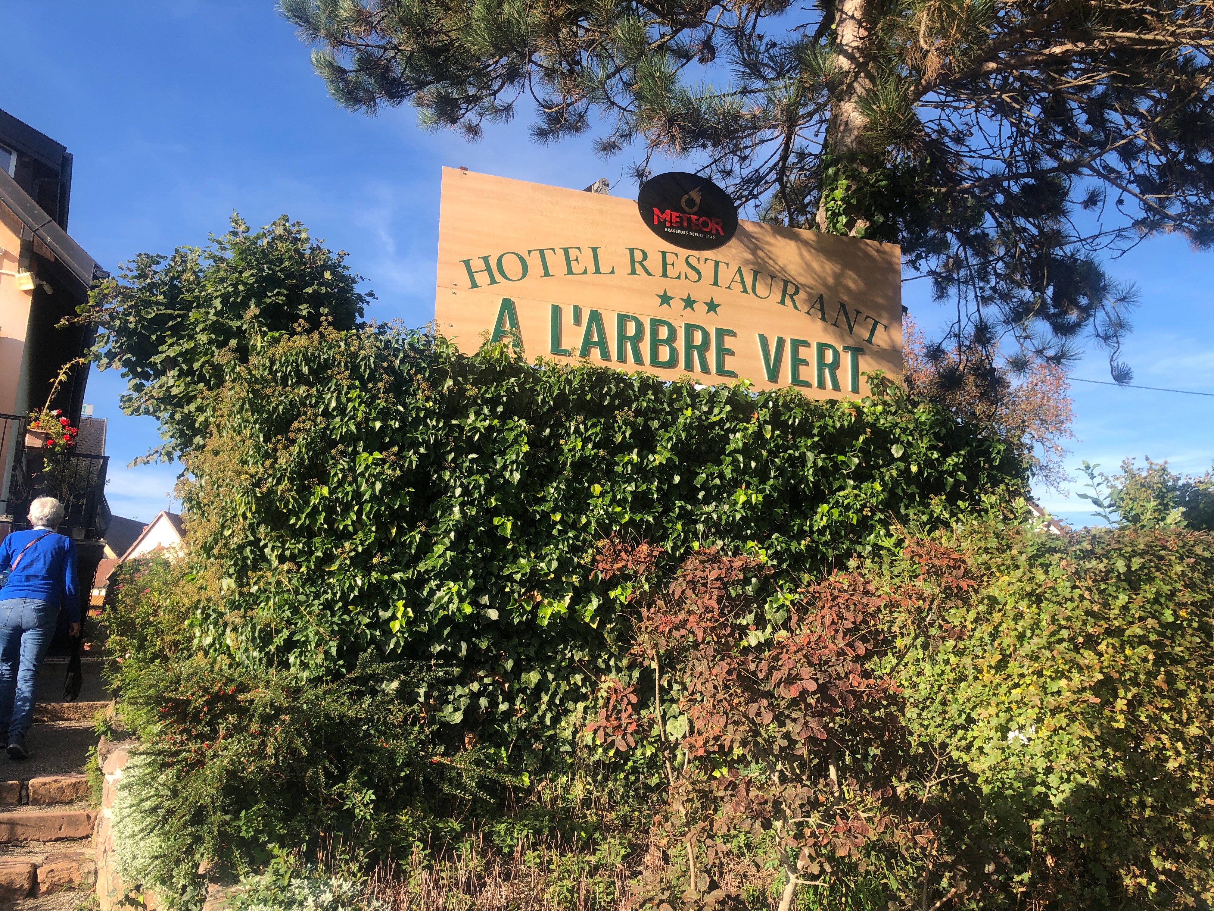 Hôtel-restaurant A L'arbre Vert-浴室