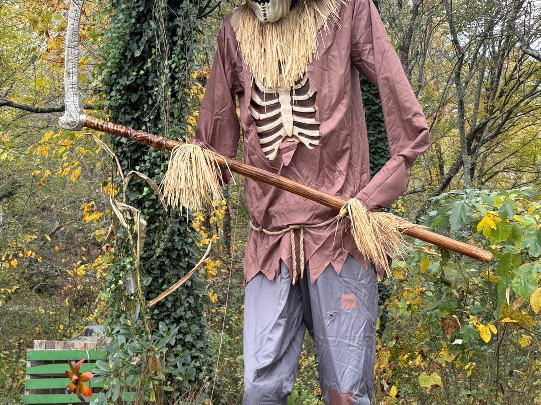 Cedar Mountain Moonshine-Cedar Mountain必去景点