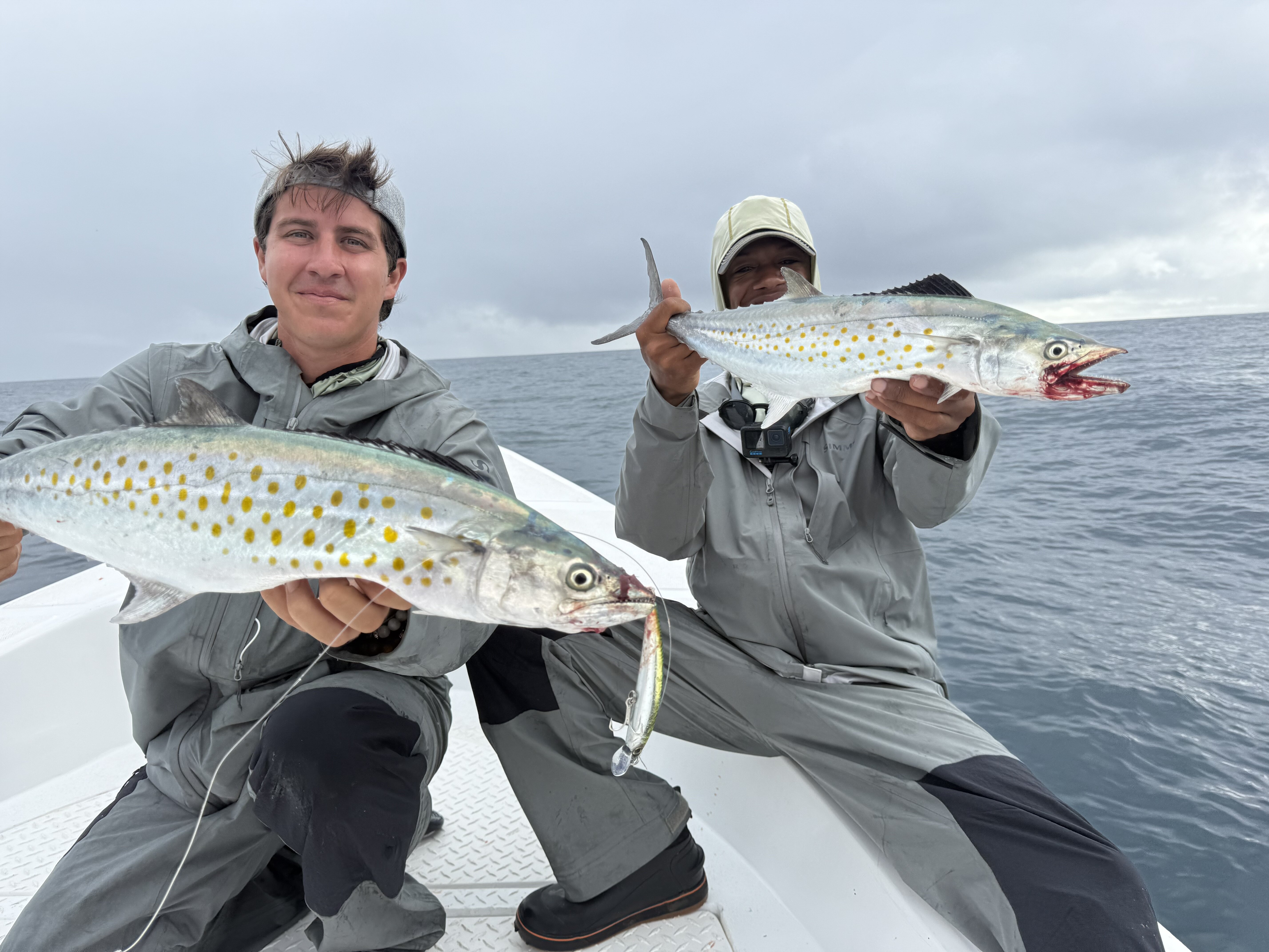 Hotel Isabela-官方