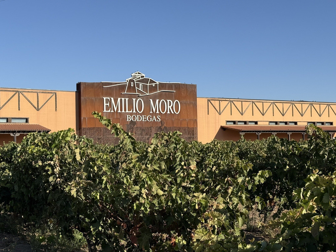Bodegas Emilio Moro-Pesquera de Duero必去景点