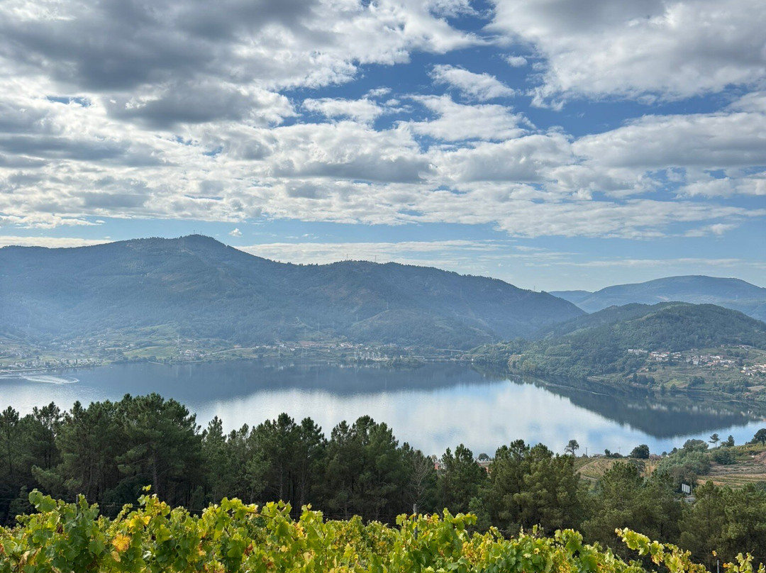 Viña Costeira-Val de Pereira必去景点