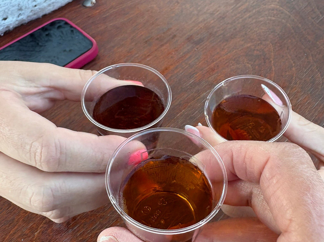 Poseidon Cruises-斯亚索斯必去景点