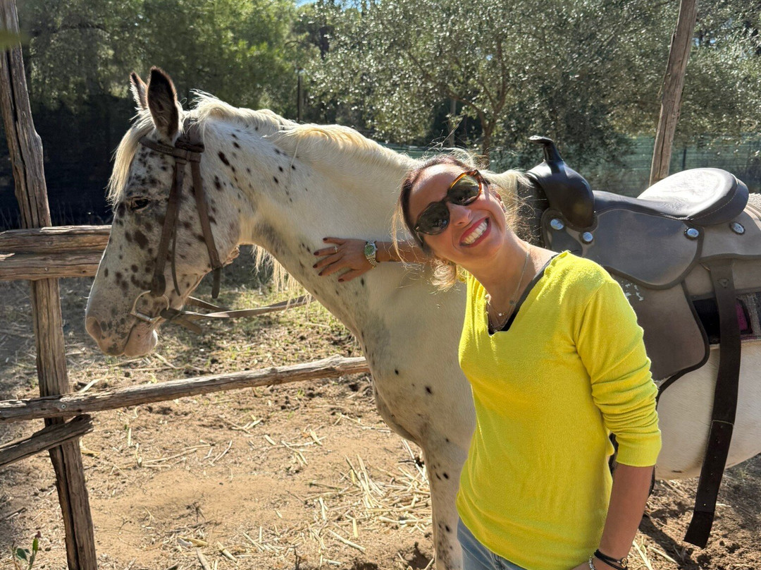 Family Horses 373-5361953-Marina di Ginosa必去景点