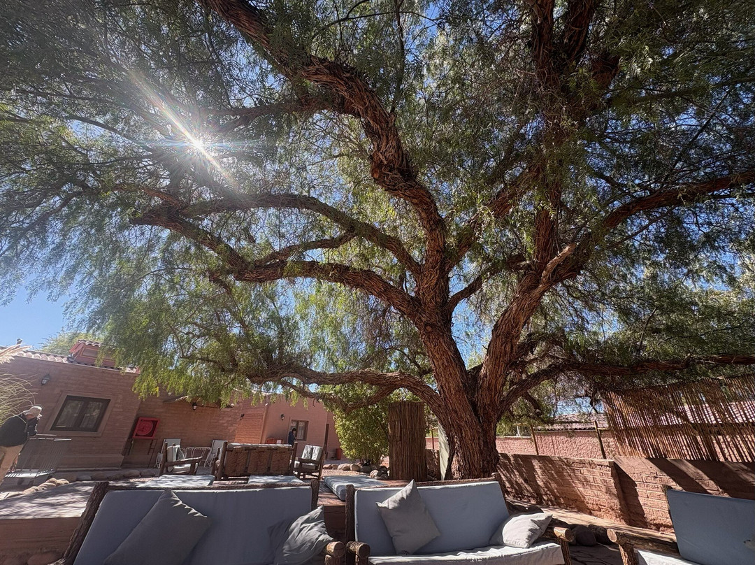 La Casa De Don Tomas主图