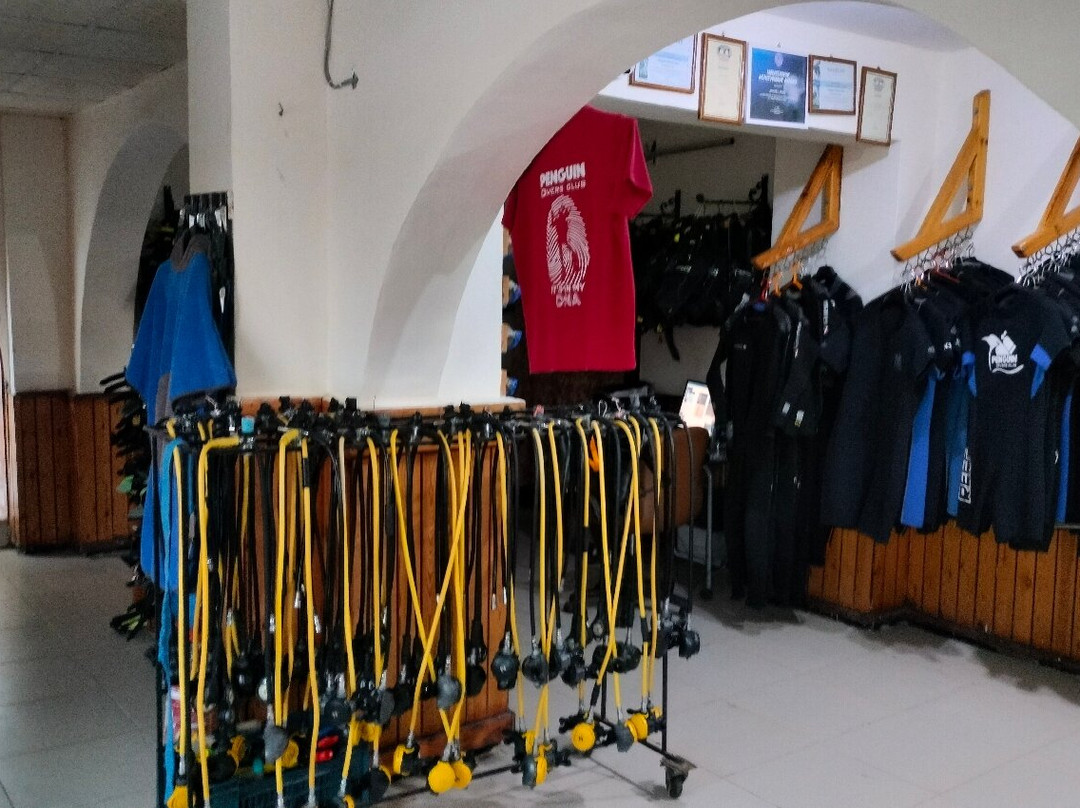 Penguin Divers Club-达哈卜必去景点