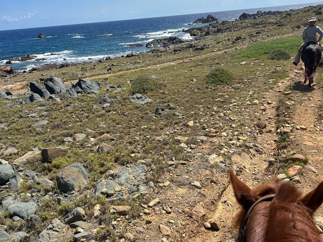 Rancho Loco-Santa Cruz必去景点