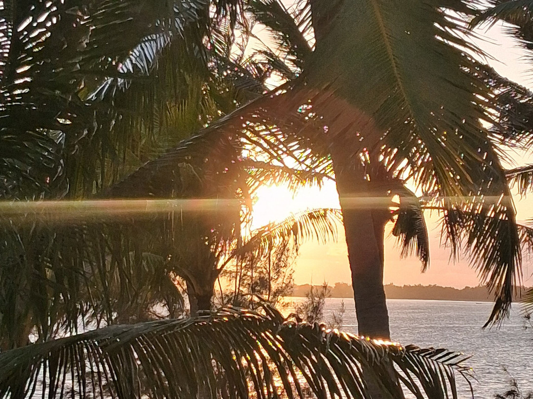 态度深蓝浅蓝主图