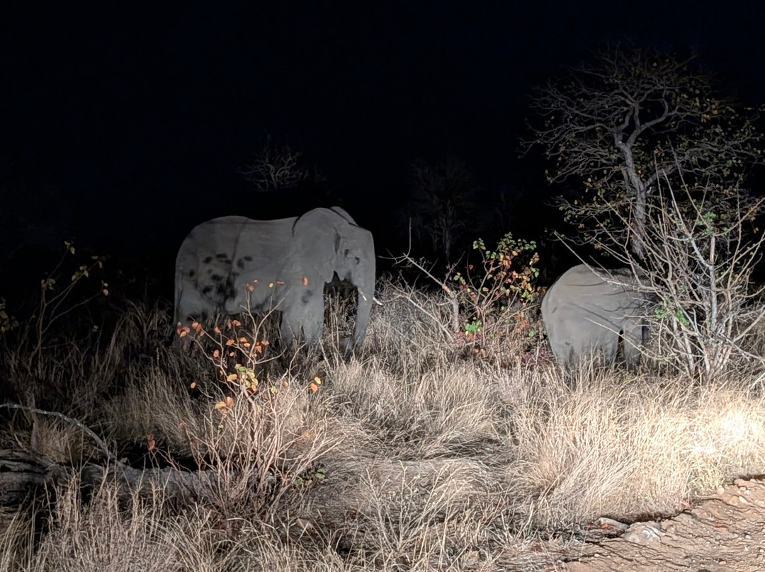 African Safari Group-开普敦必去景点