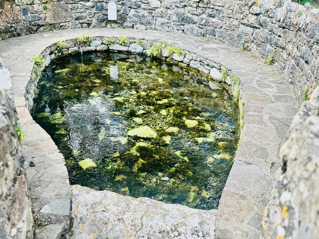 St. Patrick's Well-Clonmel必去景点
