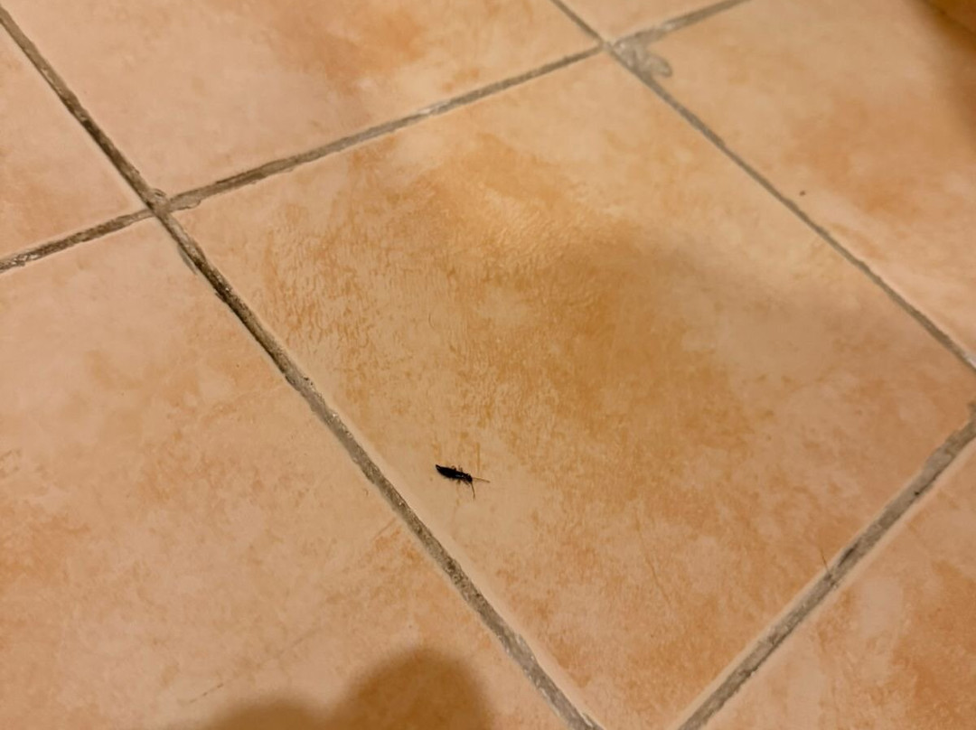 Stella Sea Club Hotel主图