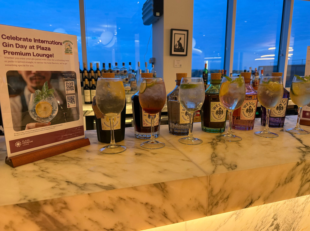 Plaza Premium Lounge Gatwick North Departures-霍利必去景点