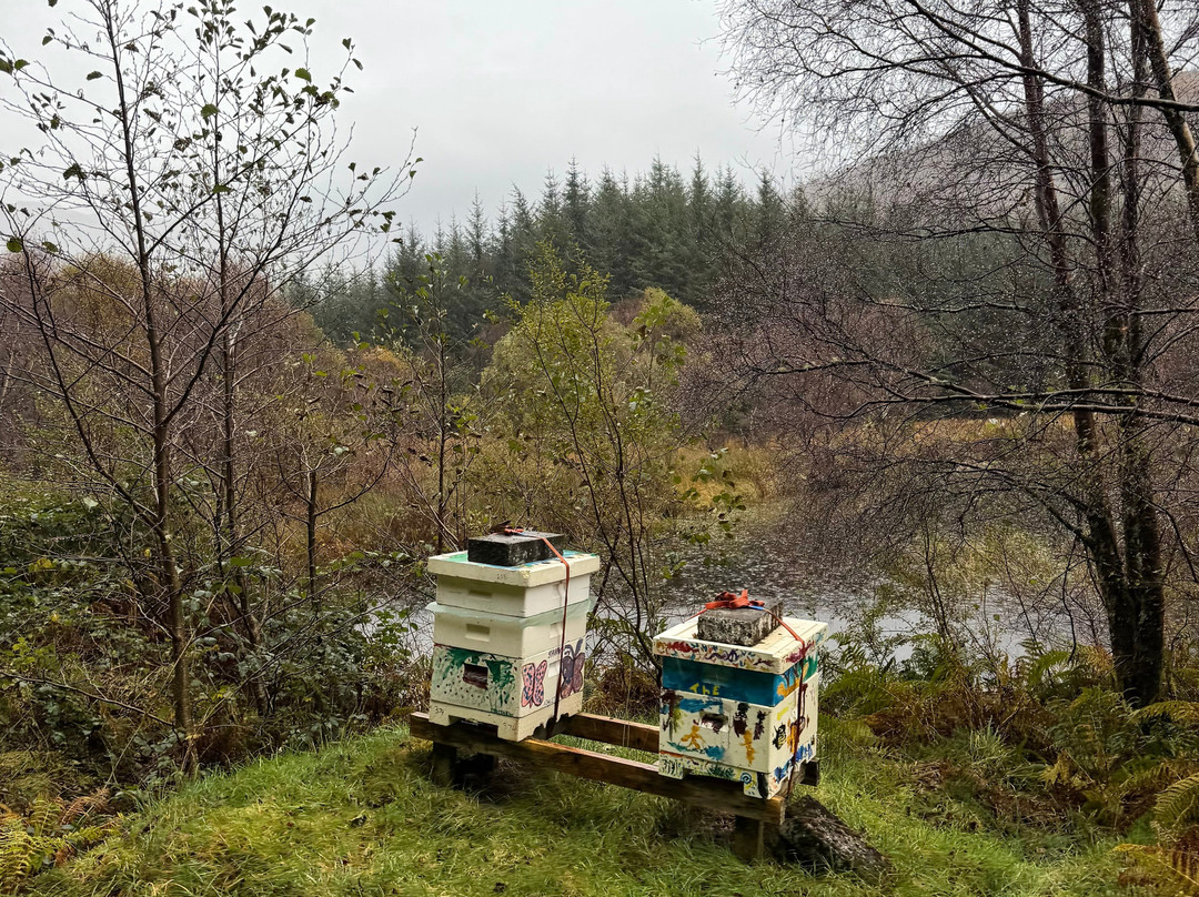 Highland Titles Nature Reserve-Duror必去景点