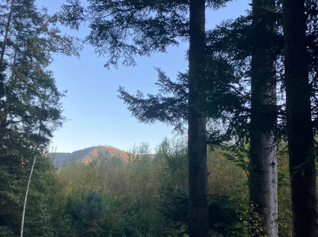 Village Cap France La Bolle - Vosges主图