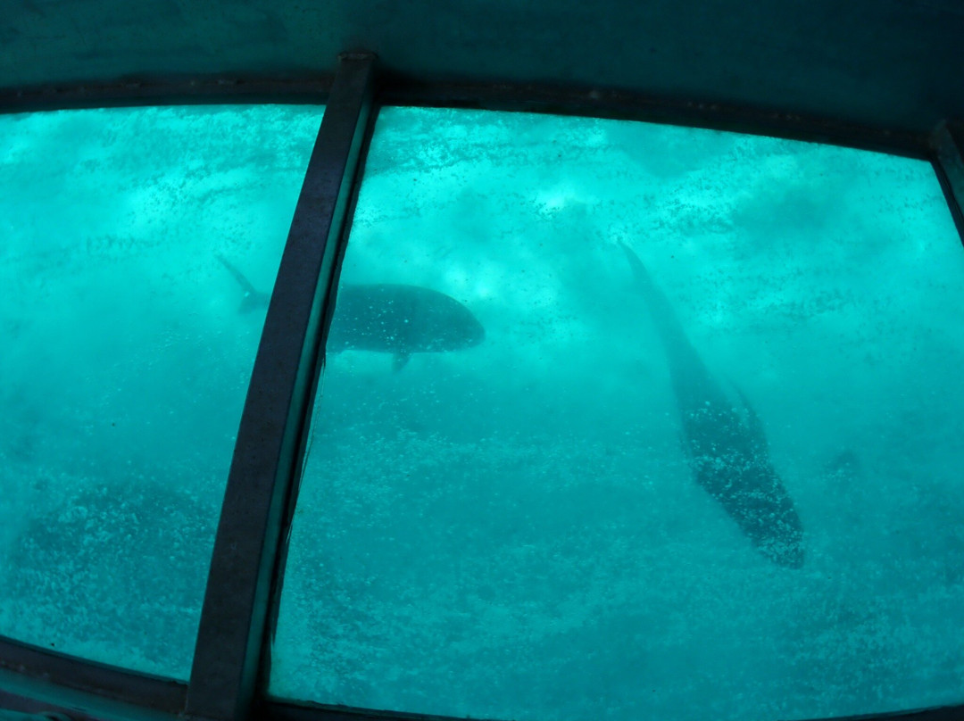 Ru's Lagoon Cruise-艾图塔基必去景点