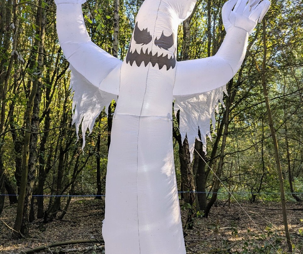 Betteshanger Park-迪奥必去景点