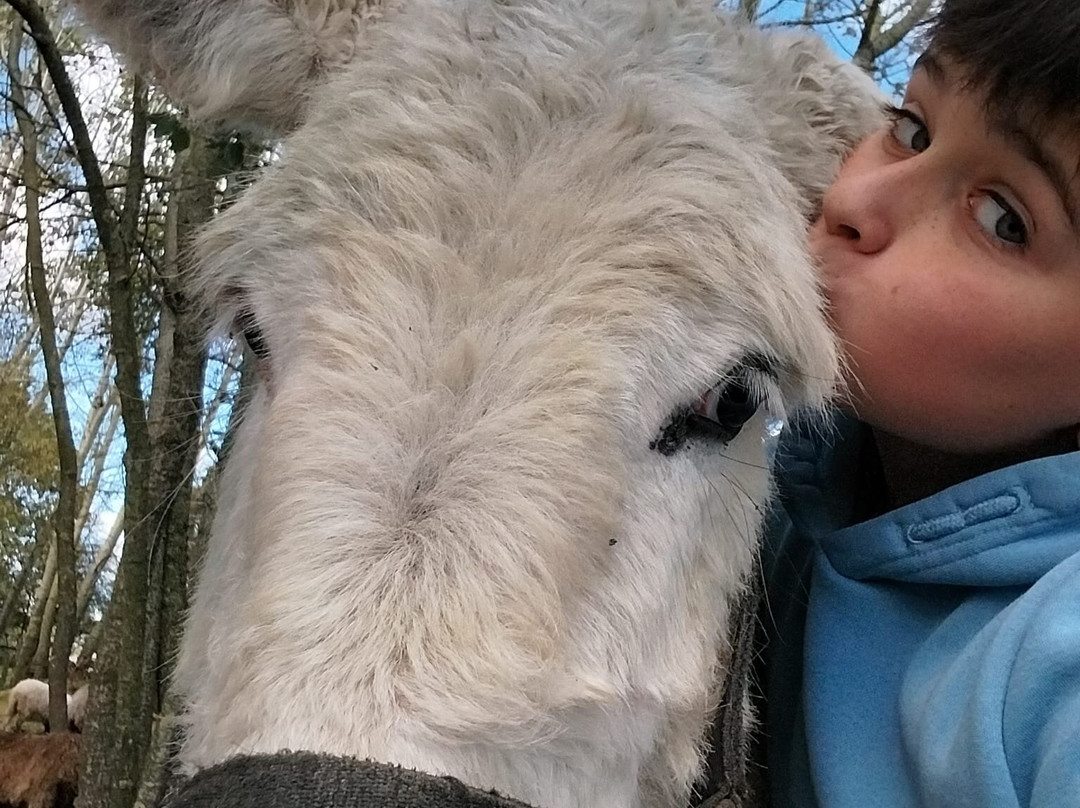 La Ferme Extraordinaire-Donges必去景点