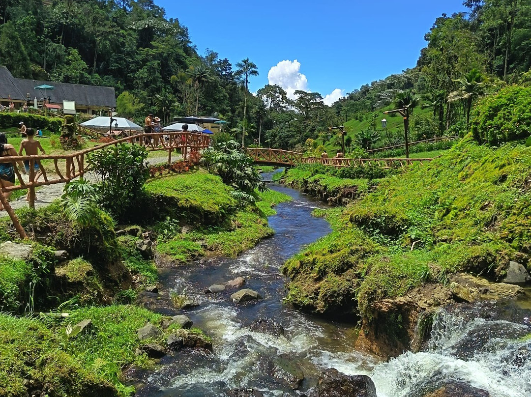 Cocora Trek Salento-萨伦托必去景点