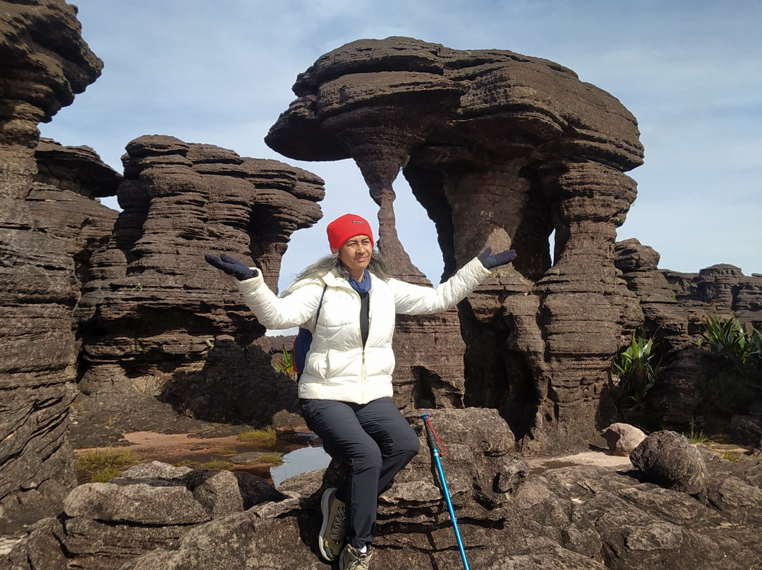 Eco Aventura Tours-Santa Elena de Uairen必去景点