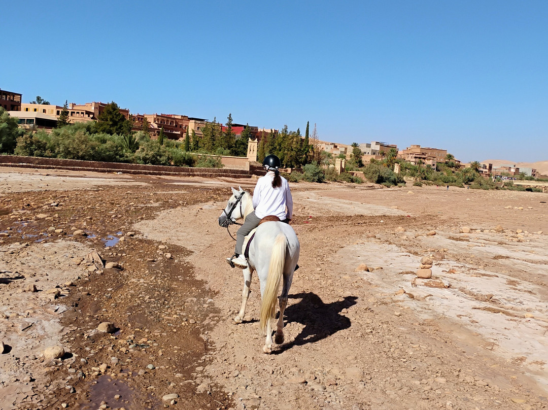Nomad Horse Riding-阿伊特·本·哈杜筑垒村必去景点