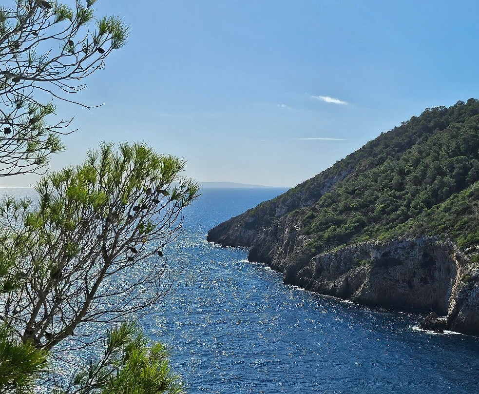 Playa Cala Llonga-Cala Llonga必去景点