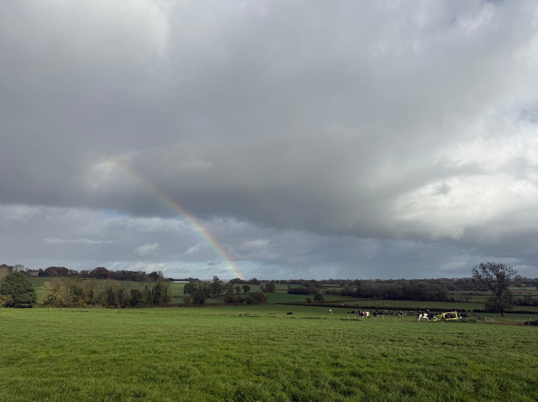 Tunstall Farm Park-Woodseaves必去景点