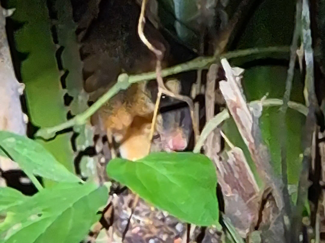 Unlock Nature-帕拉马里博必去景点