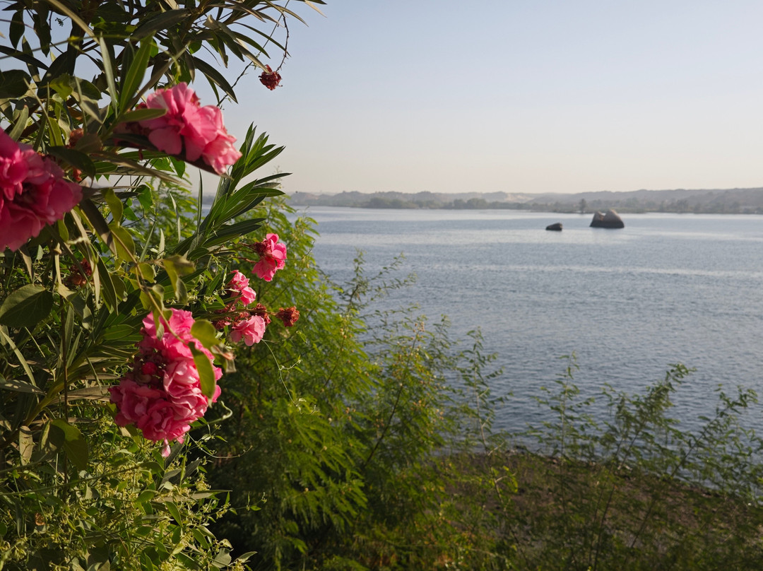 AMR tours-亚斯文必去景点