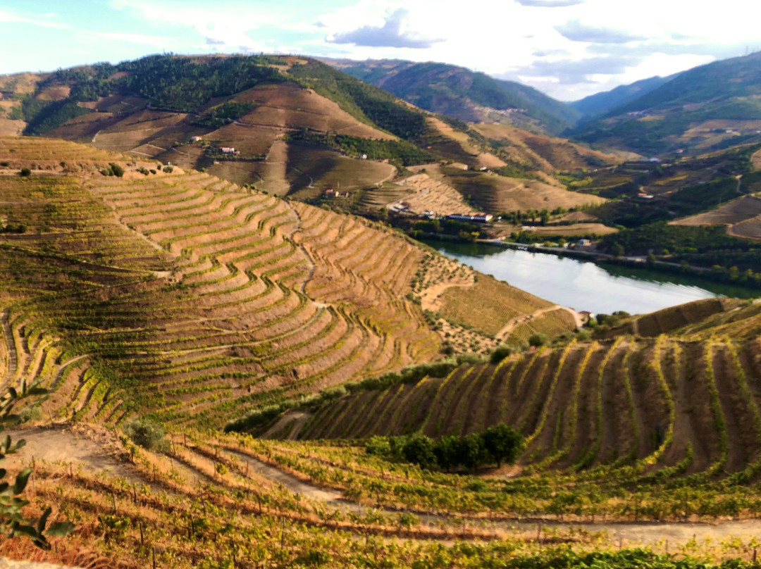 Into The Vineyard-温哥华必去景点