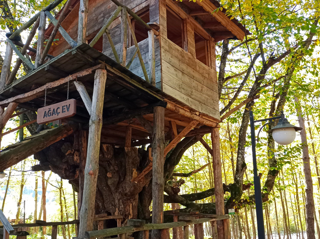 Bolu Koru Hotels Spa & Convention主图