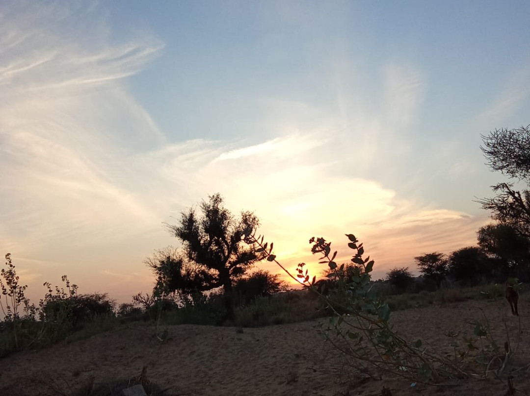 Sunset Nature view point - near jodhpur-Balesar必去景点