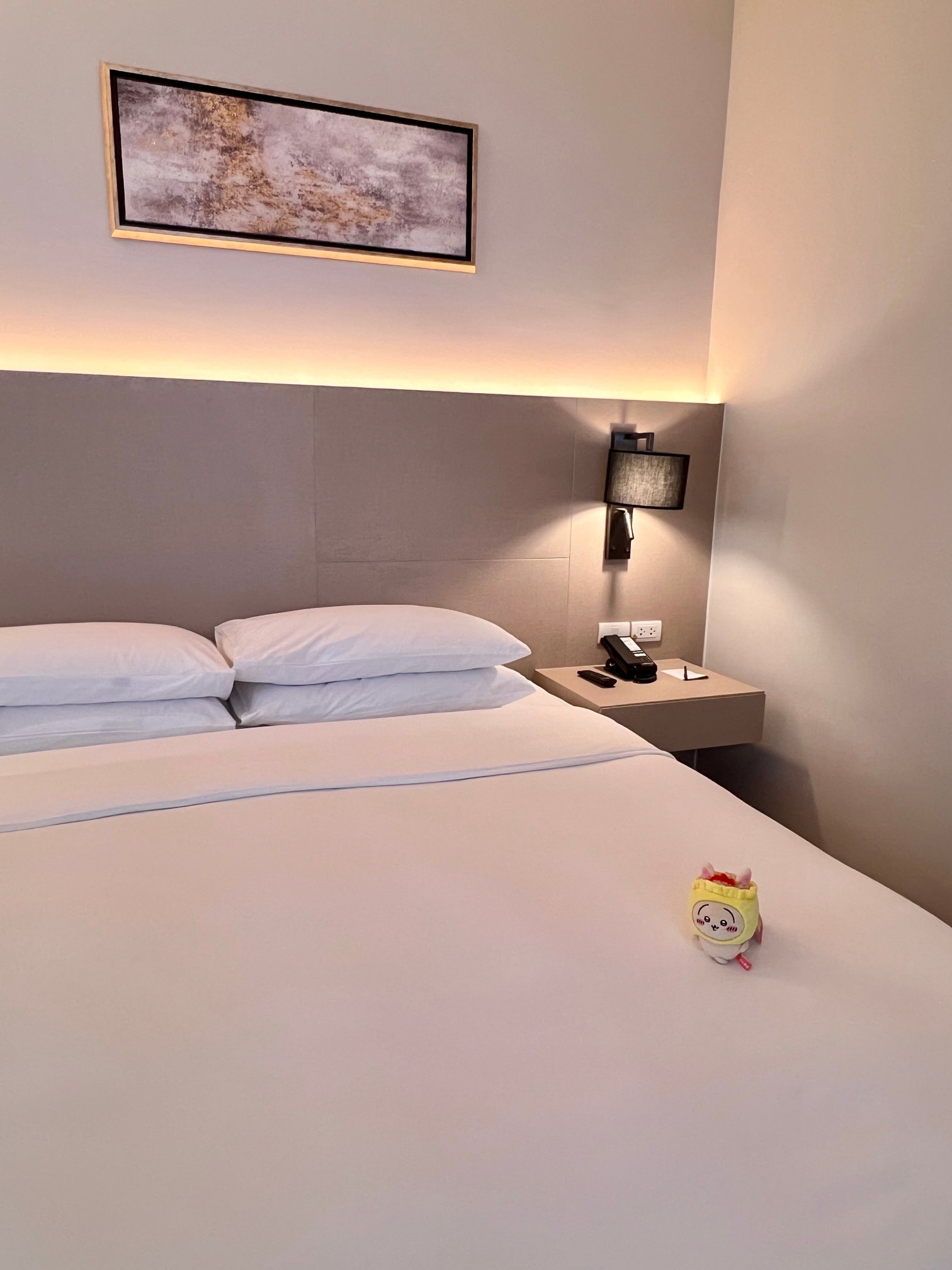 Hyatt Place Bangkok Sukhumvit 1-客卧
