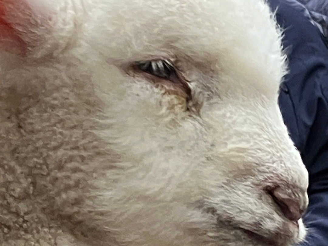 Overland Ireland-戈尔韦必去景点