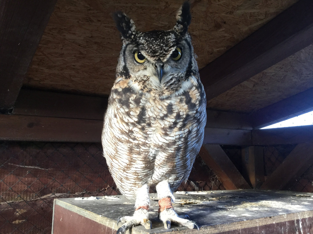 Faunessence asbl-Lessines必去景点