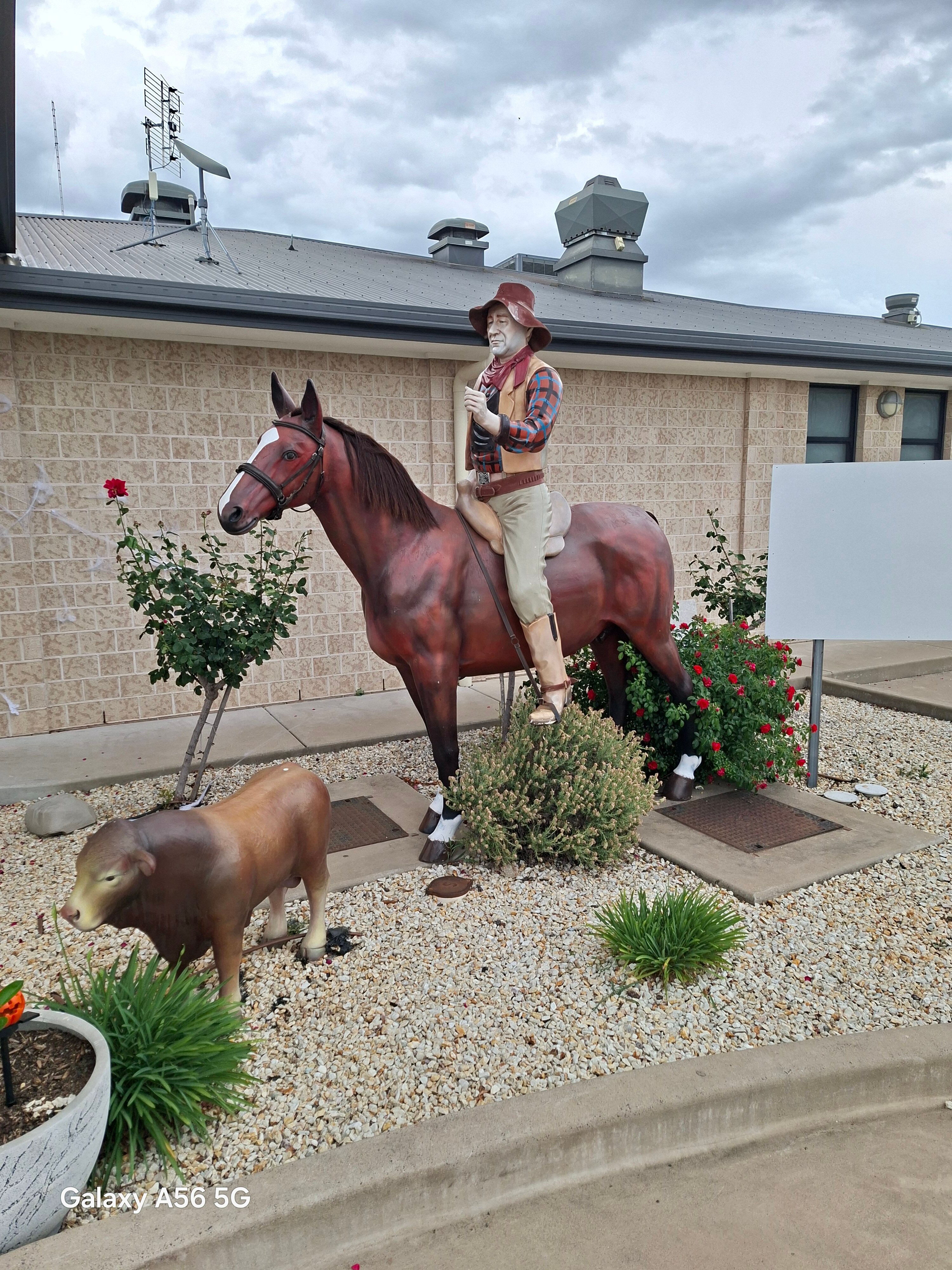 Stockman's Motel-官方