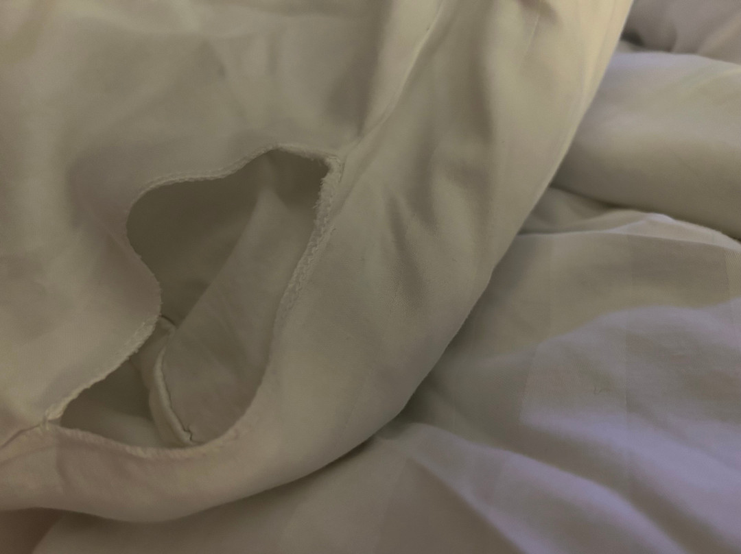 Ruthin Castle Hotel主图