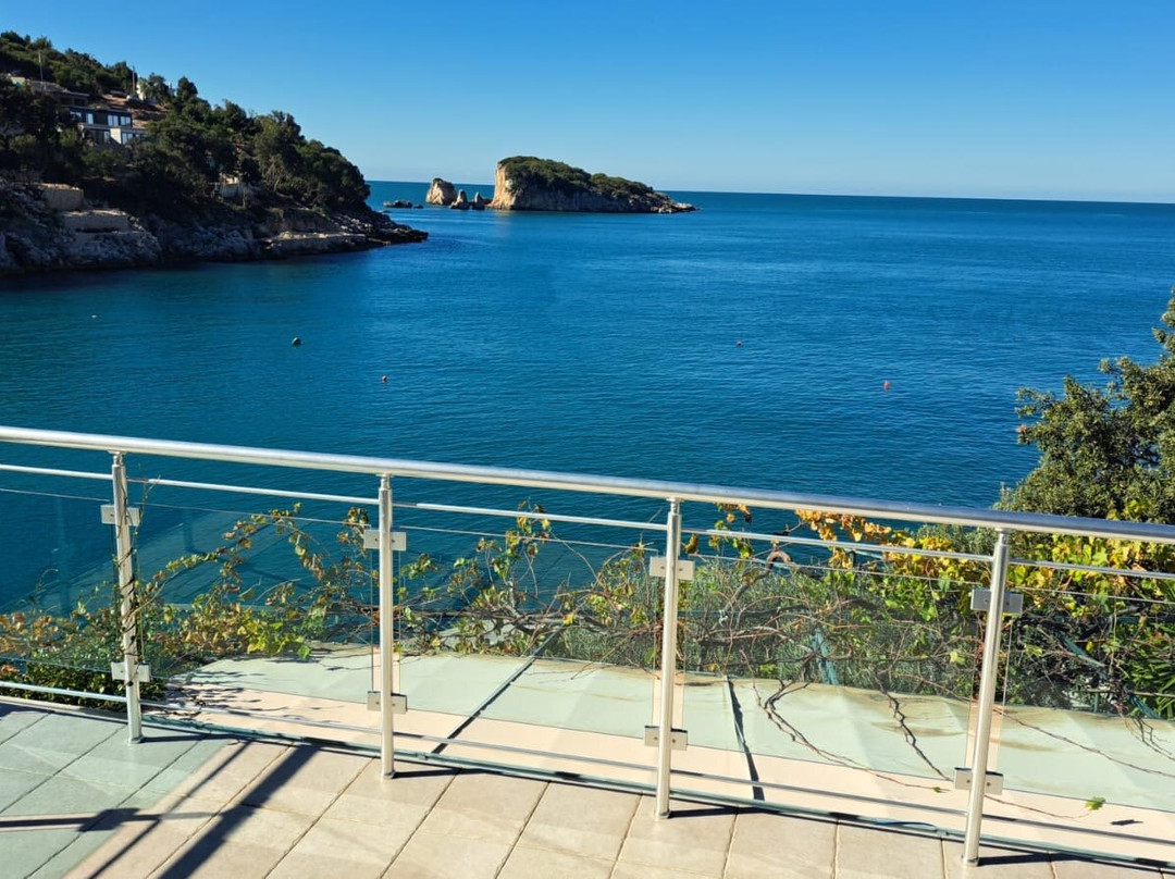 Pansion Vongola主图