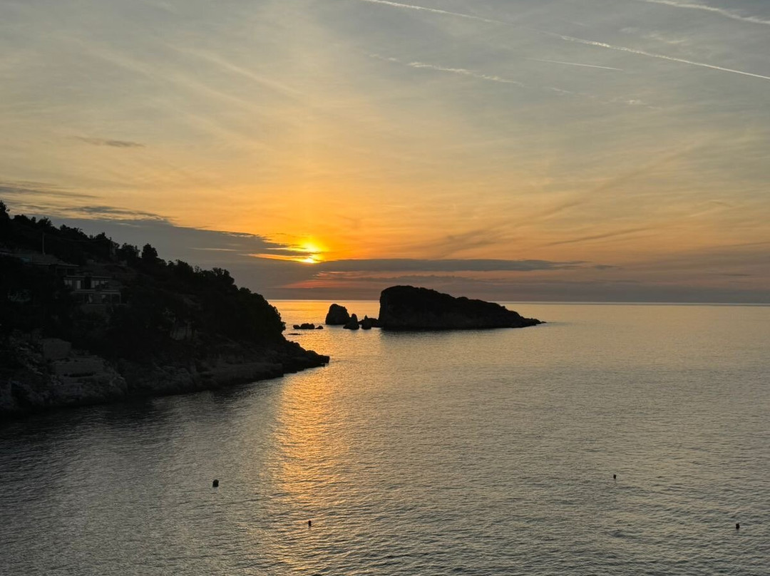 Pansion Vongola主图