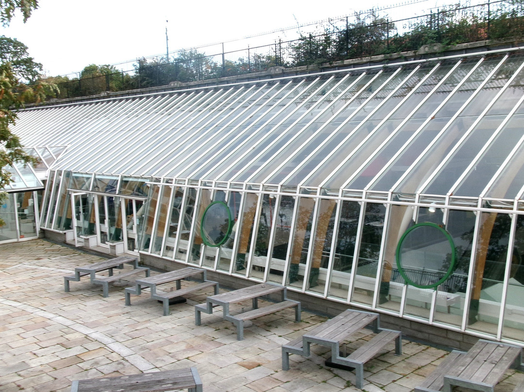 The Forum-诺威奇必去景点