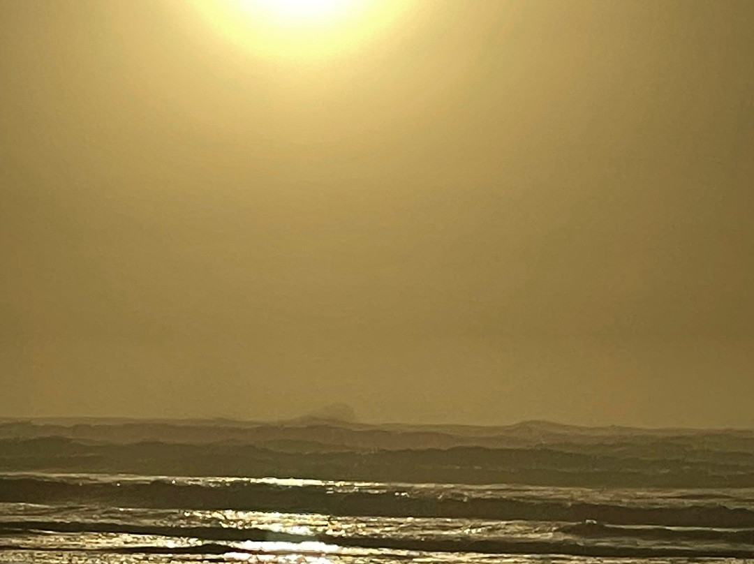 Seashore Inn on the Beach主图