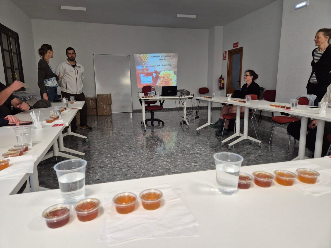 Academia Pradoventura-Prado del Rey必去景点