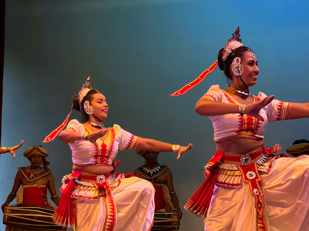 Drivers in Sri Lanka-科伦坡必去景点