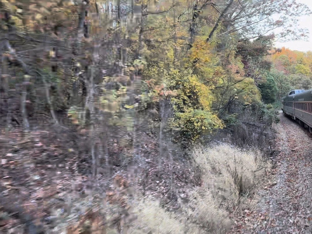 Virginia Scenic Railway-斯汤顿必去景点