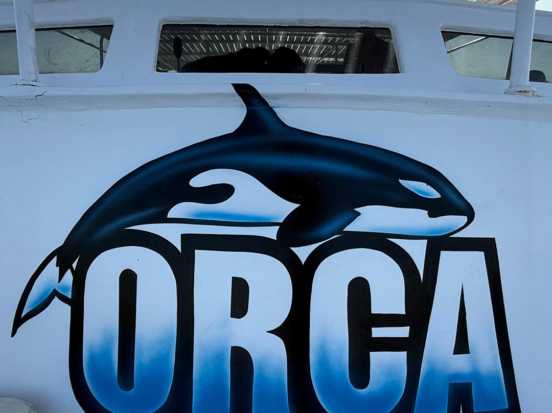 Orca Dive Club Safaga-Safaga必去景点