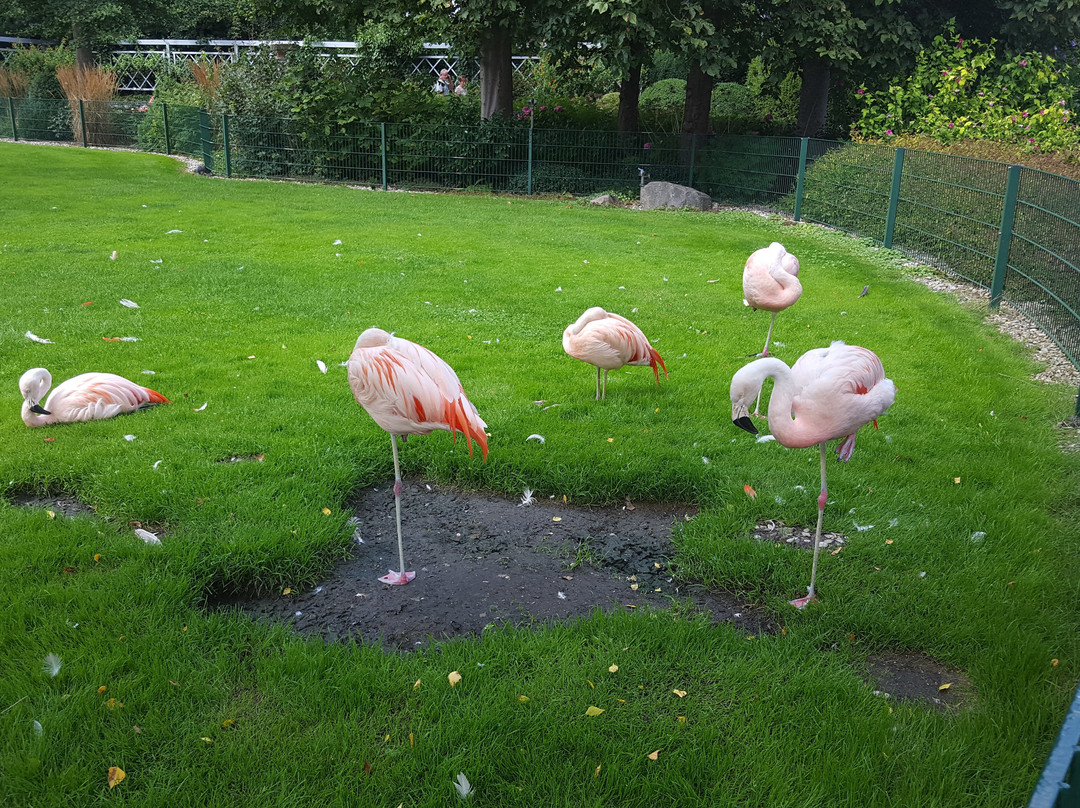 Dehner Flower Park-Rain必去景点