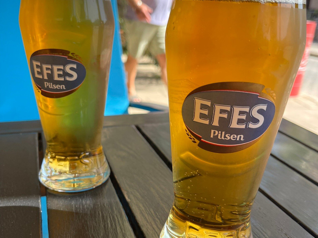 The Original Red Bus-阿依纳帕必去景点