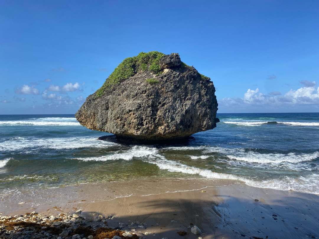 Ted's Tours-Hastings必去景点