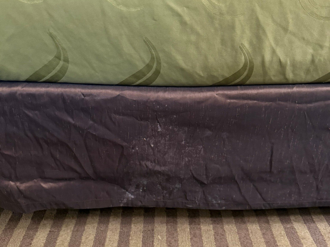 Quality Inn Mt. Pleasant主图