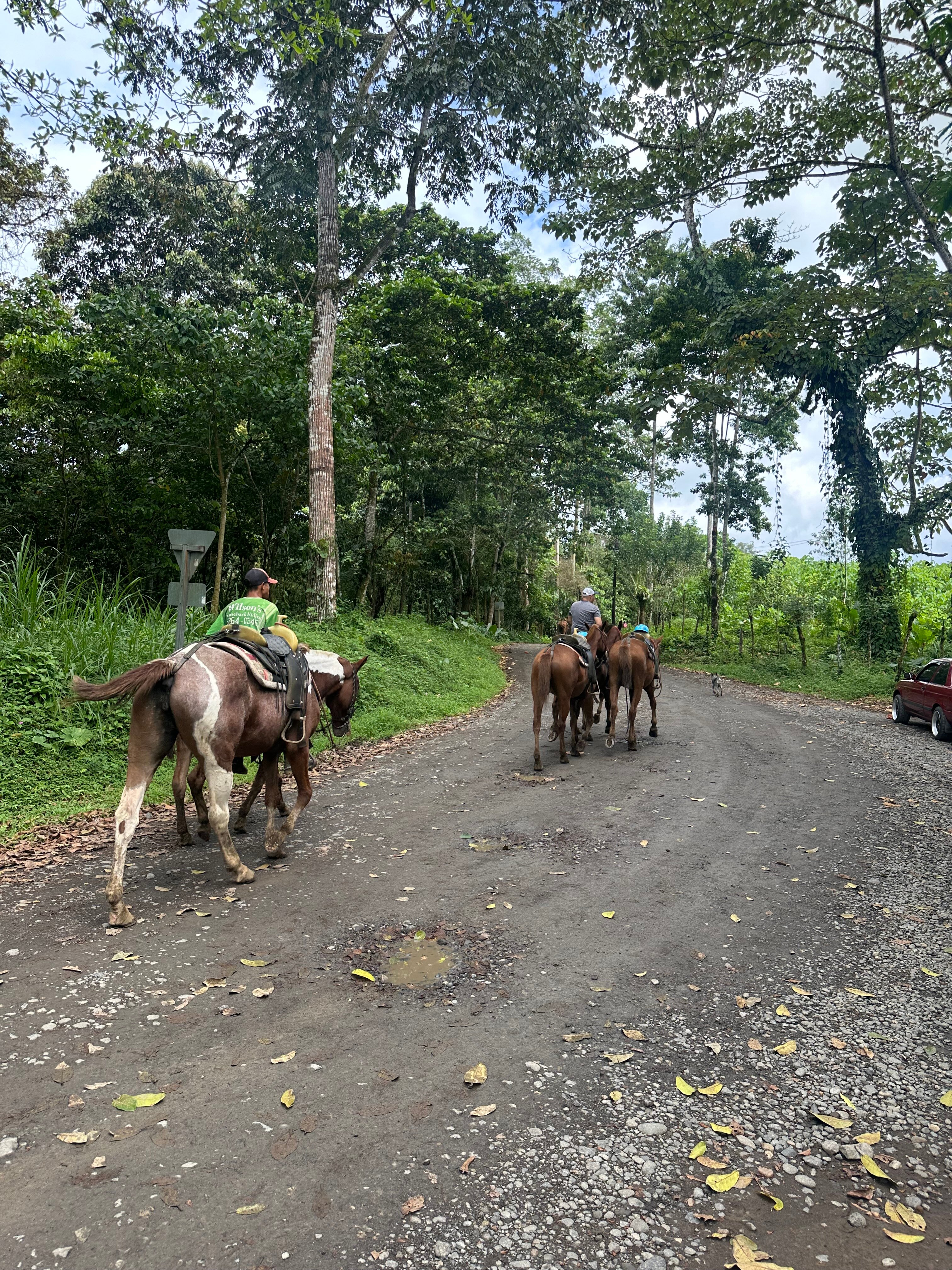 Chilamate Rainforest Eco Retreat-官方