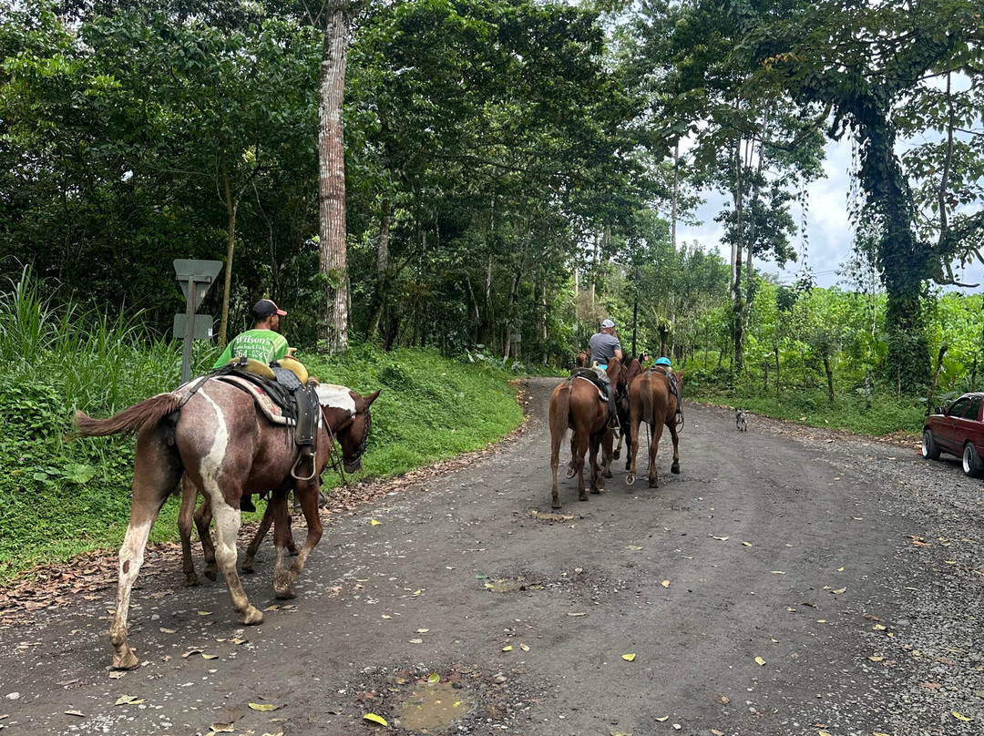 Chilamate Rainforest Eco Retreat主图