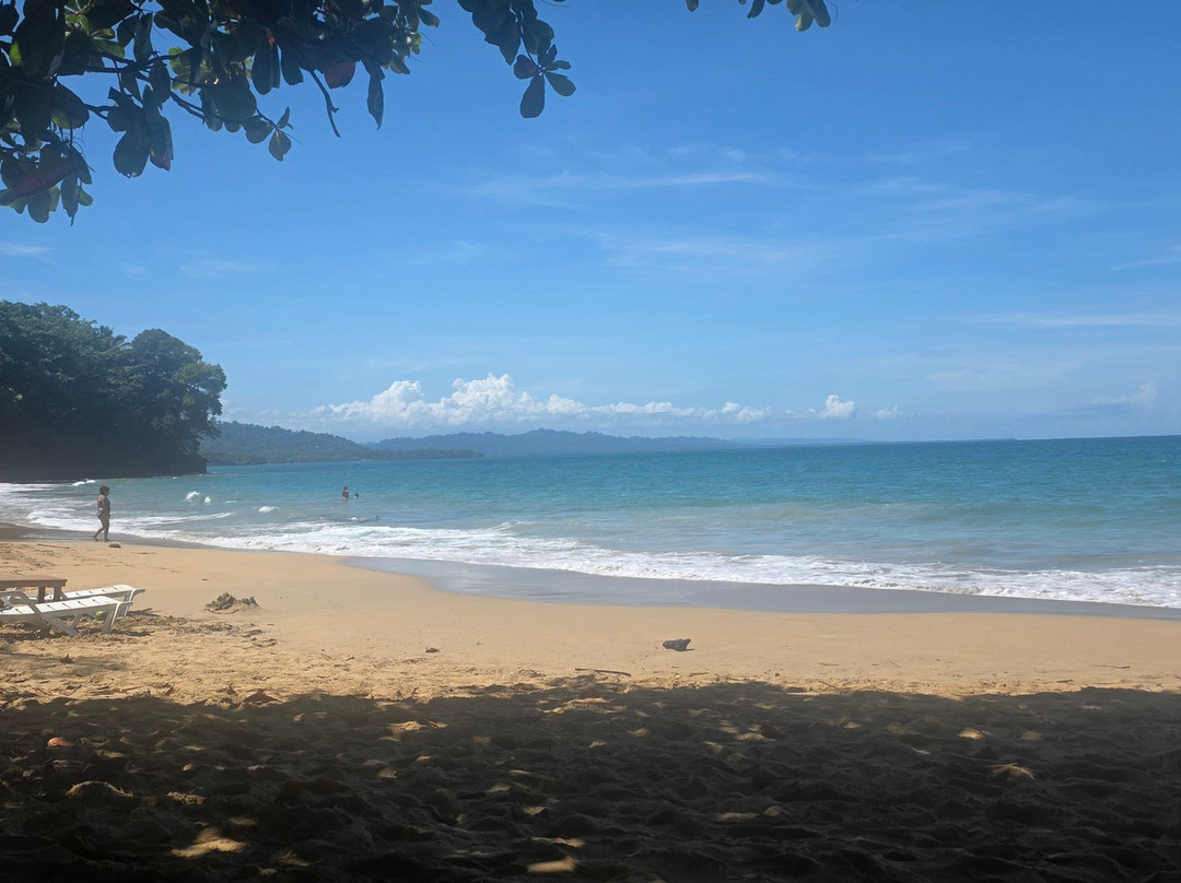 Playa Punta Uva-Punta Uva必去景点